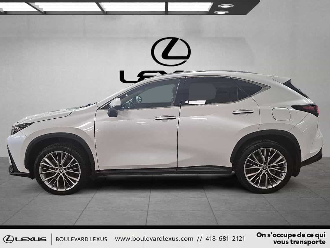 2024 Lexus NX 350 Luxe - Image 7