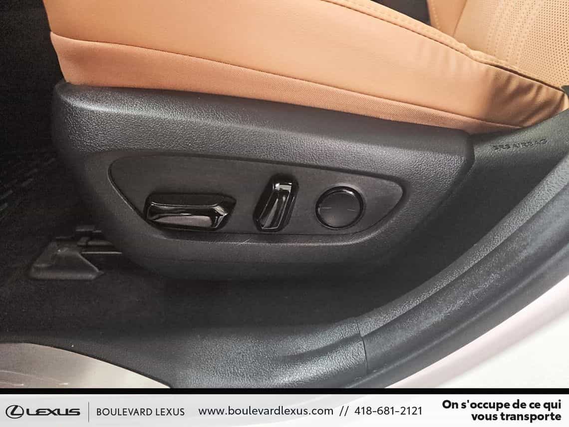 Image 11 Lexus NX 350 Luxe 2024