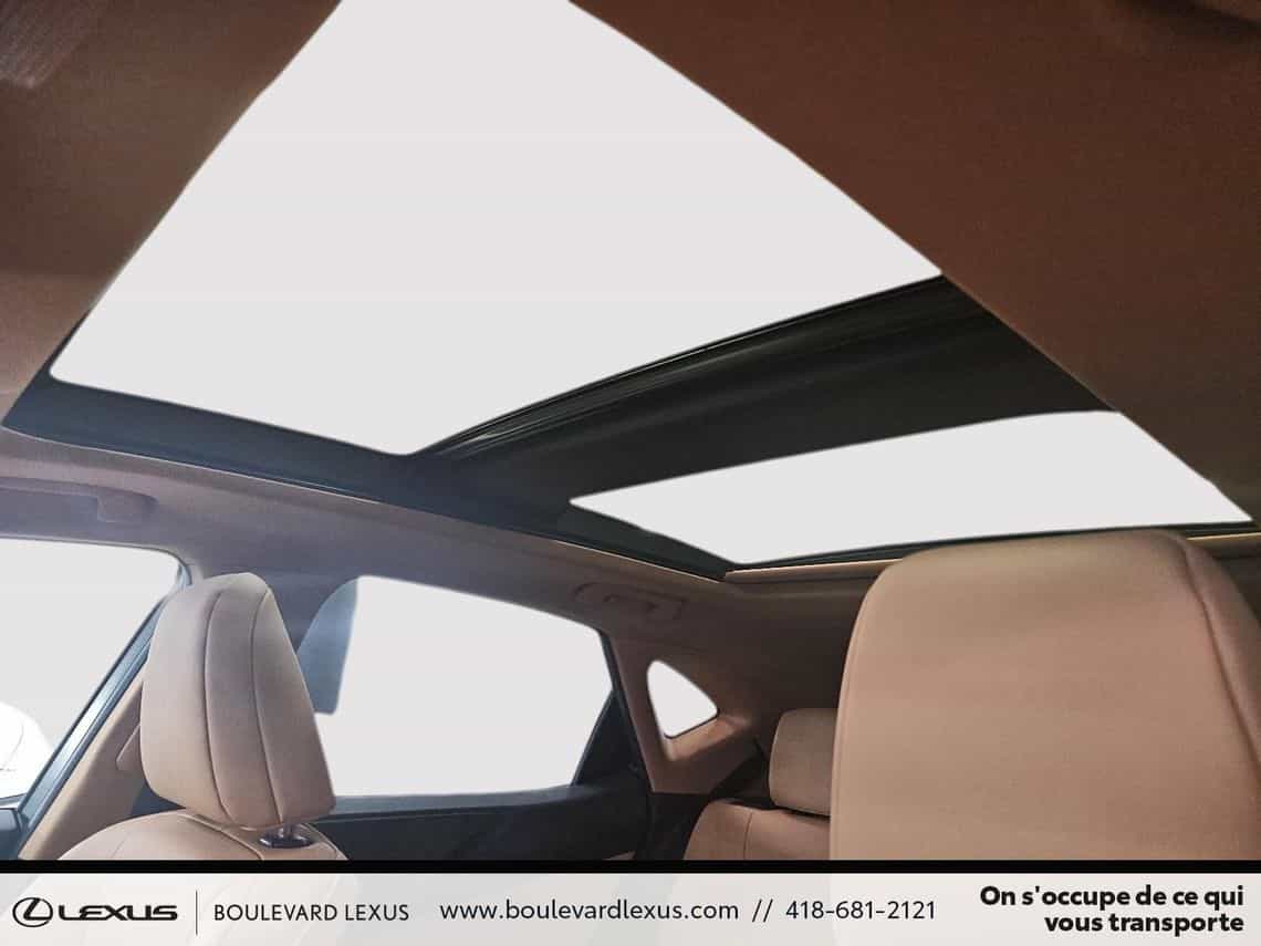 2024 Lexus NX 350 Luxe - Image 13