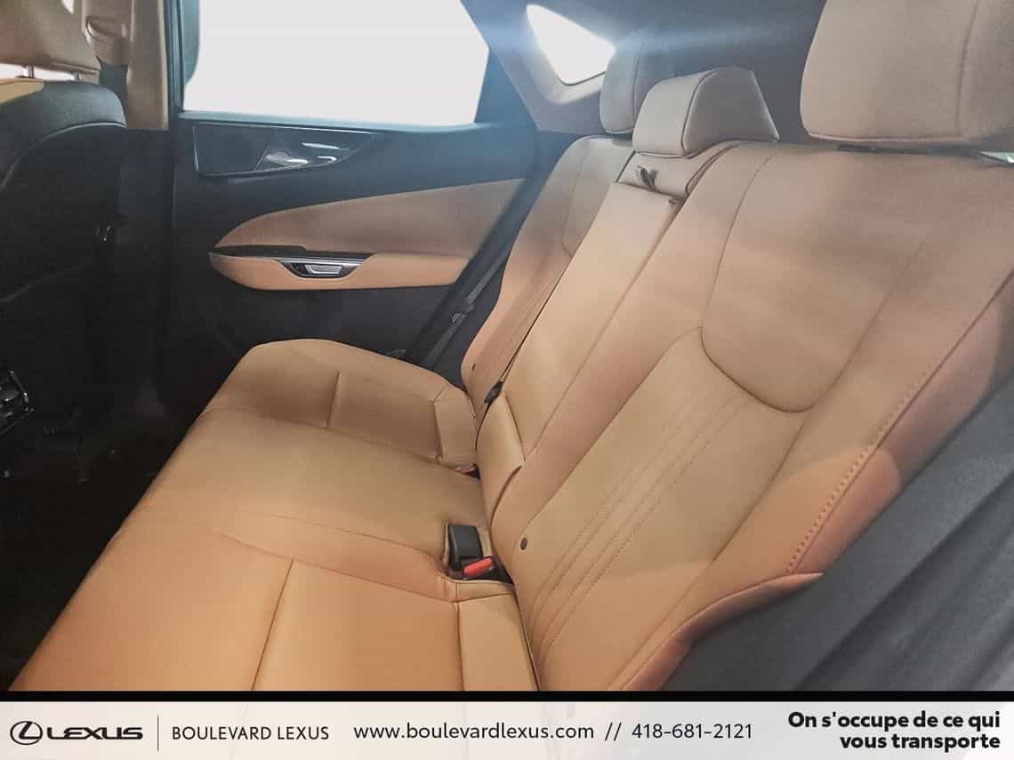 2024 Lexus NX 350 Luxe - Image 20