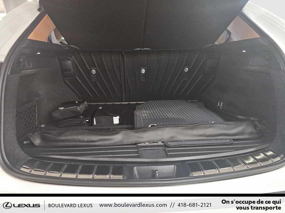 2024 Lexus NX 350 Luxe - Image 21