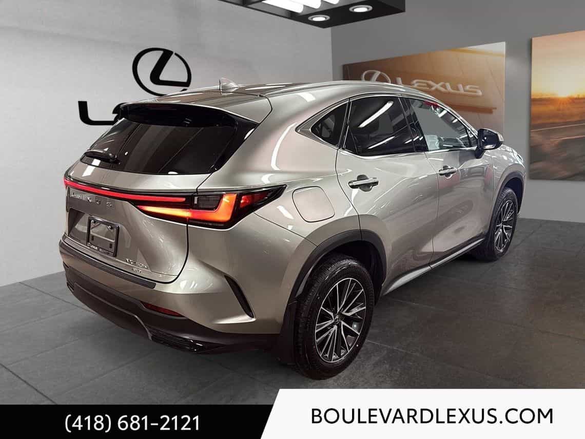 2024 Lexus NX 350 Luxury - Image 4