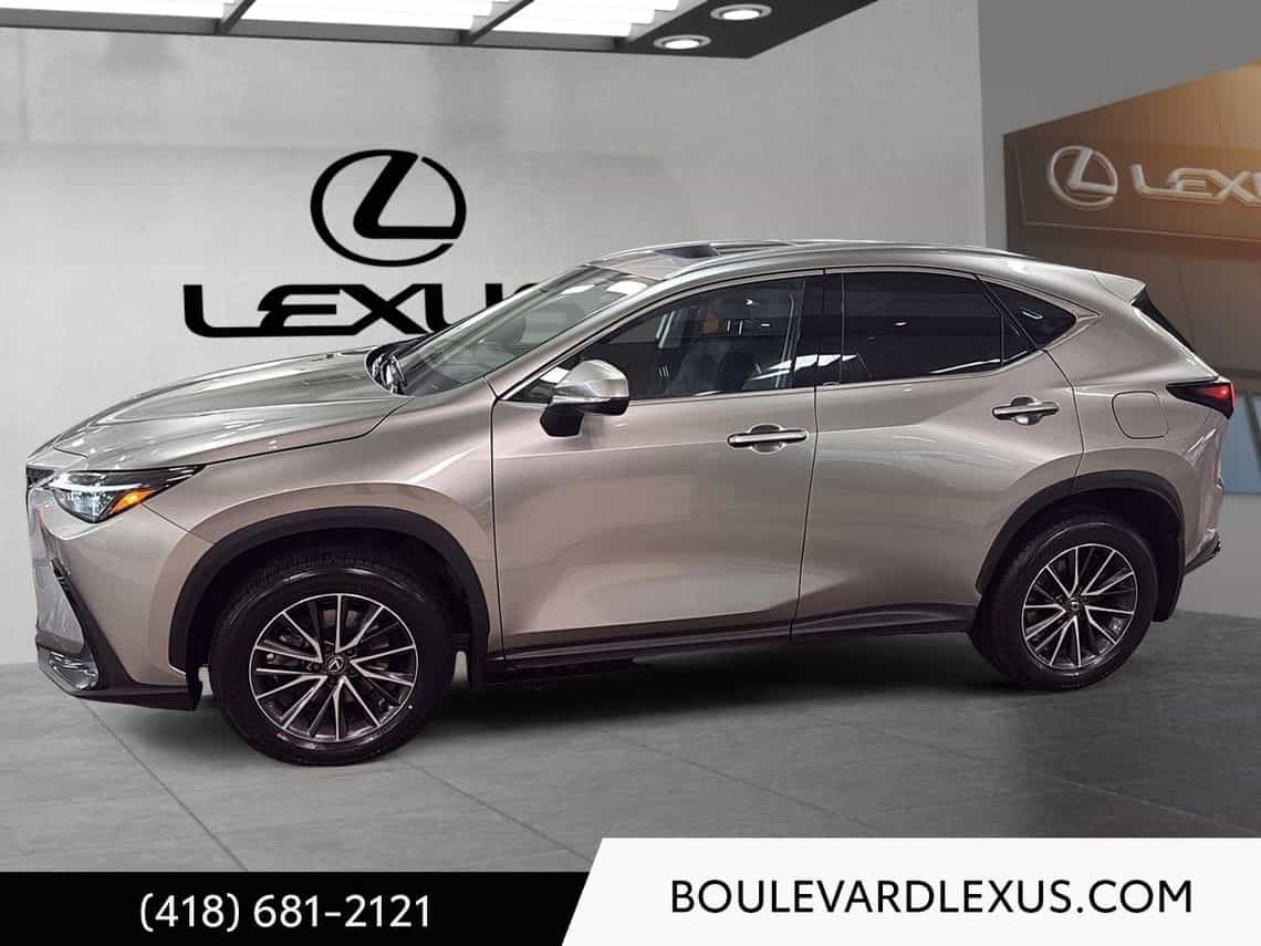2024 Lexus NX 350 Luxury - Image 7