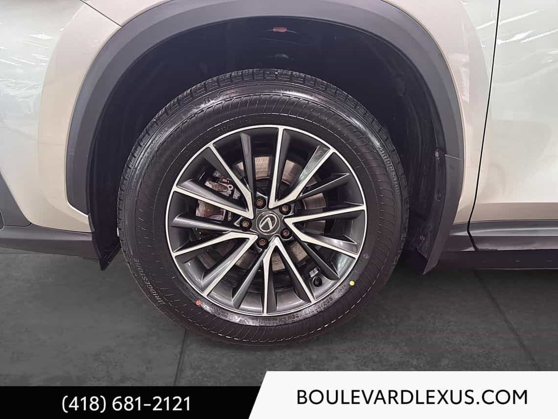 Image 8 Lexus NX 350 Luxury 2024