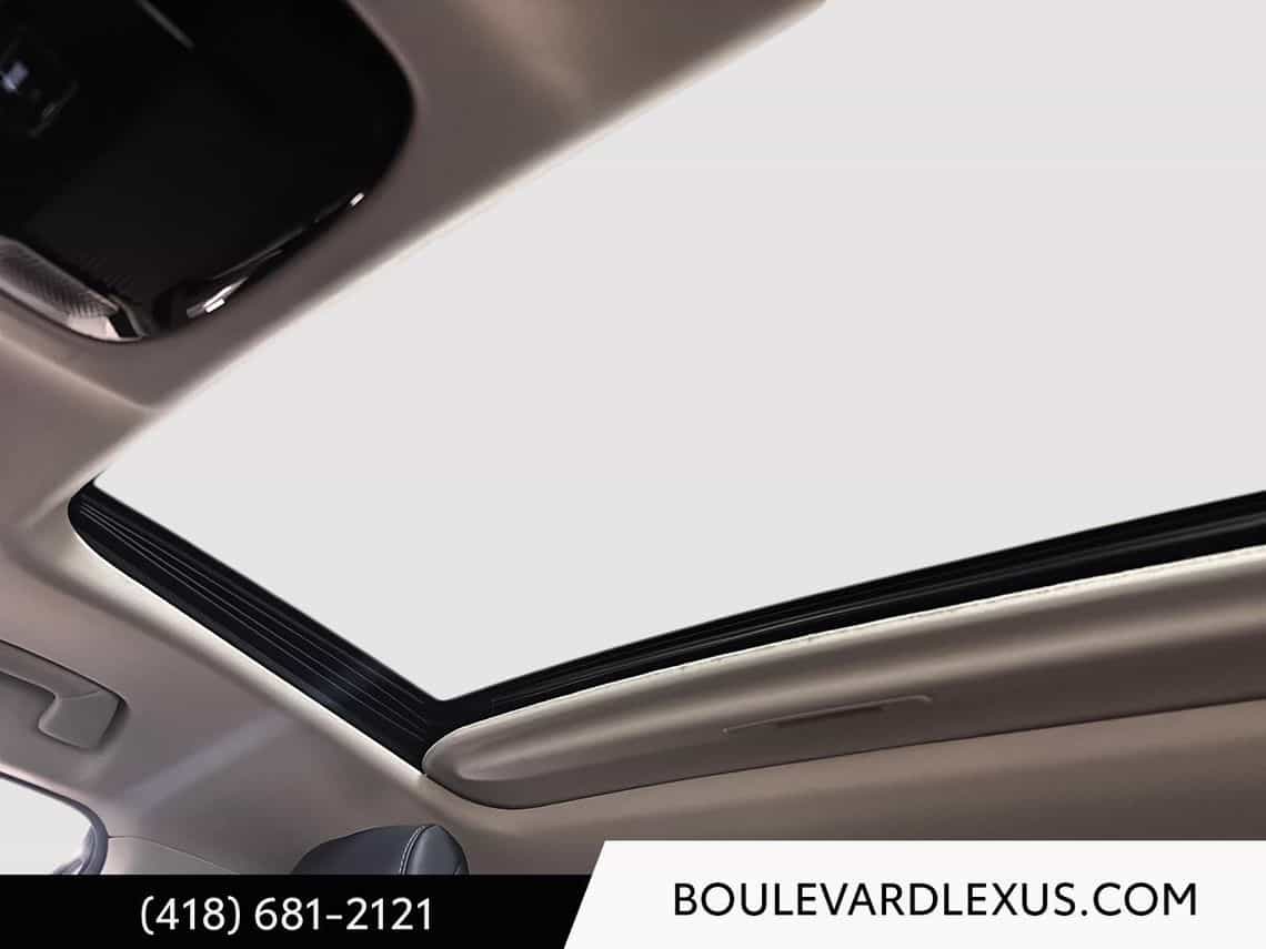 2024 Lexus NX 350 Luxury - Image 13