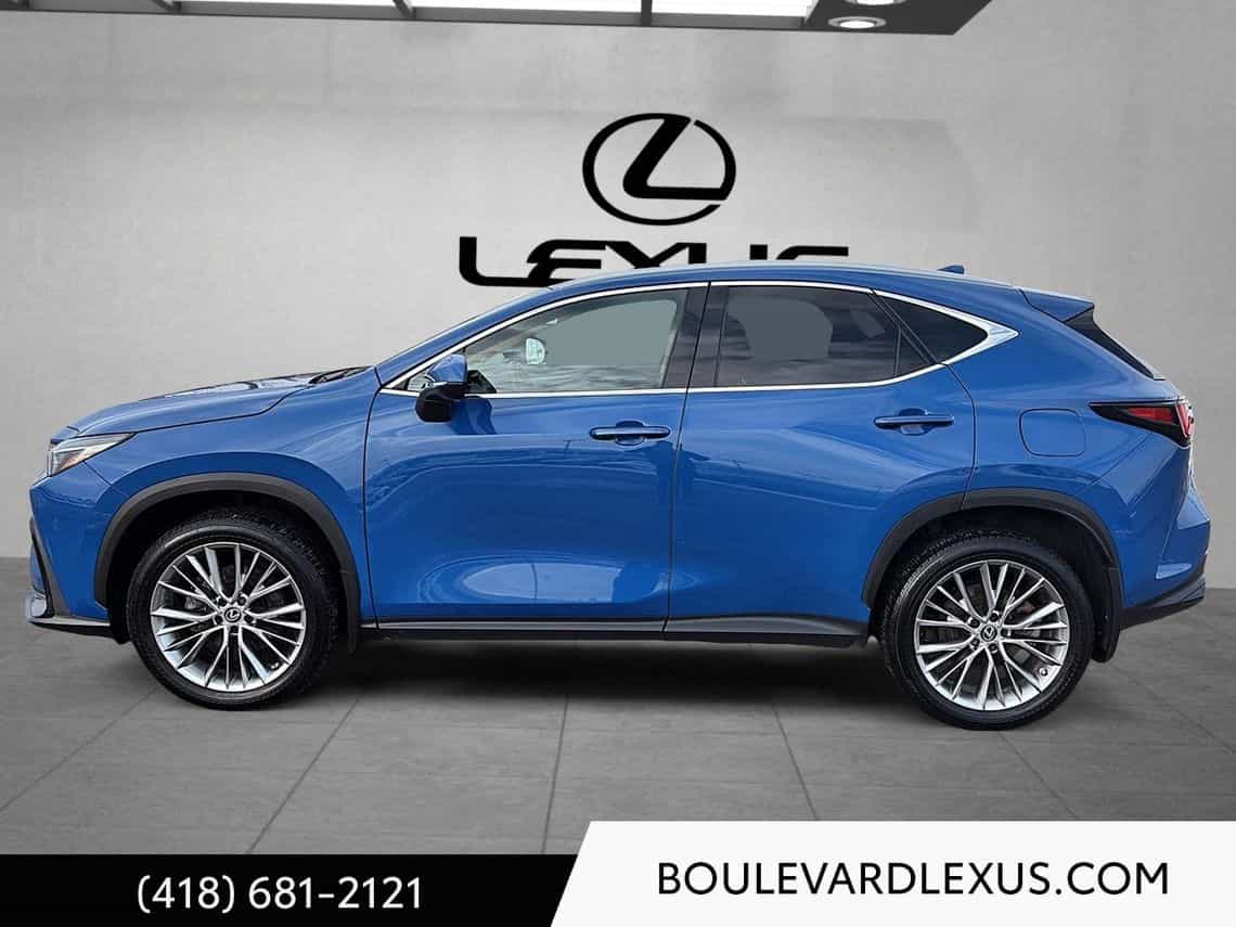 2023 Lexus NX 350 Luxe - Image 7