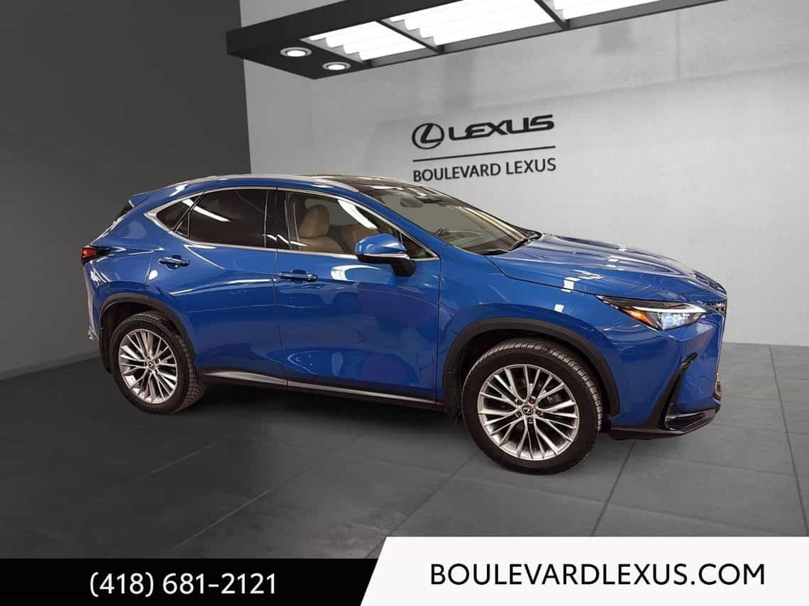 2024 Lexus NX 350 Luxe - Image 3