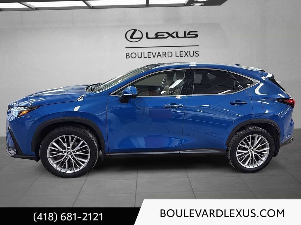 2024 Lexus NX 350 Luxe - Image 10