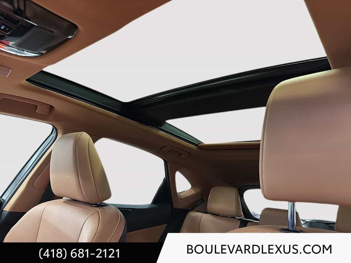 2024 Lexus NX 350 Luxe - Image 20