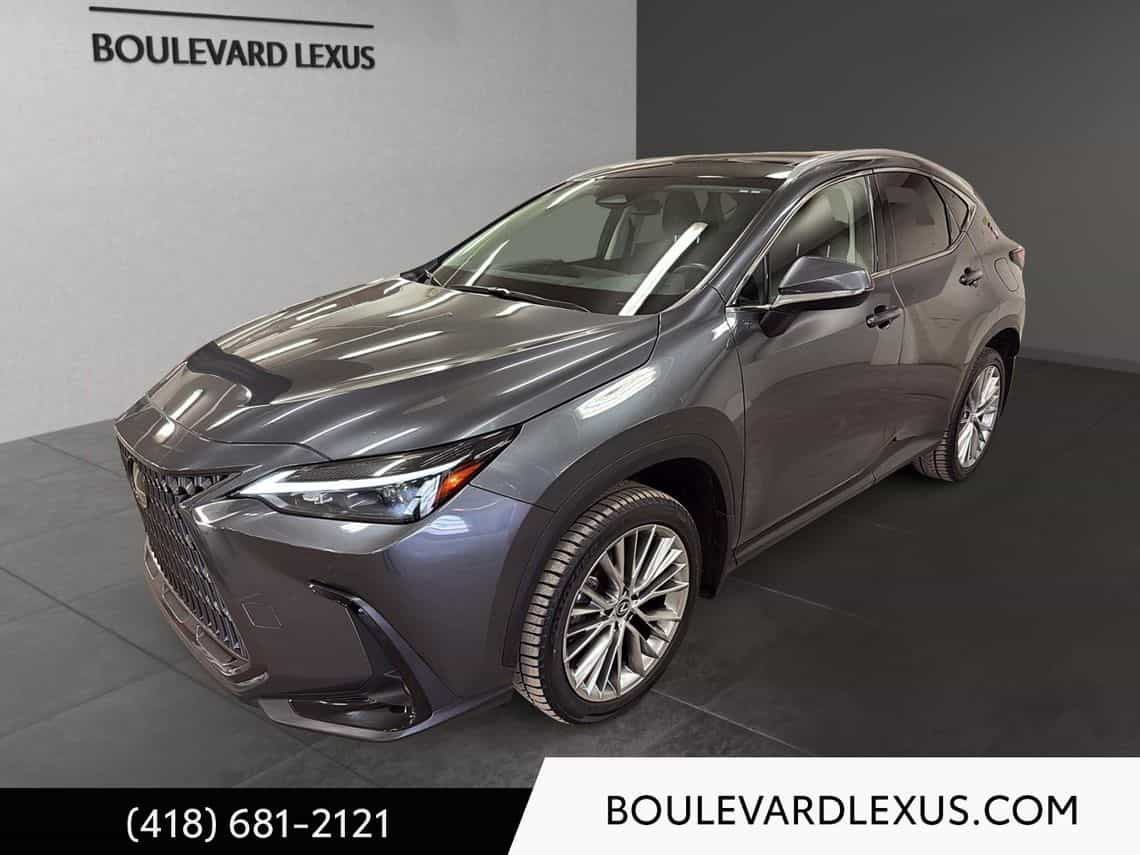 Image 1 Lexus NX 350h Luxe 2024