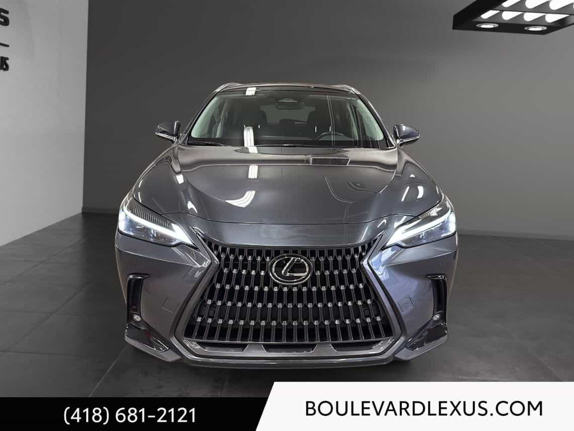 Image 2 Lexus NX 350h Luxe 2024