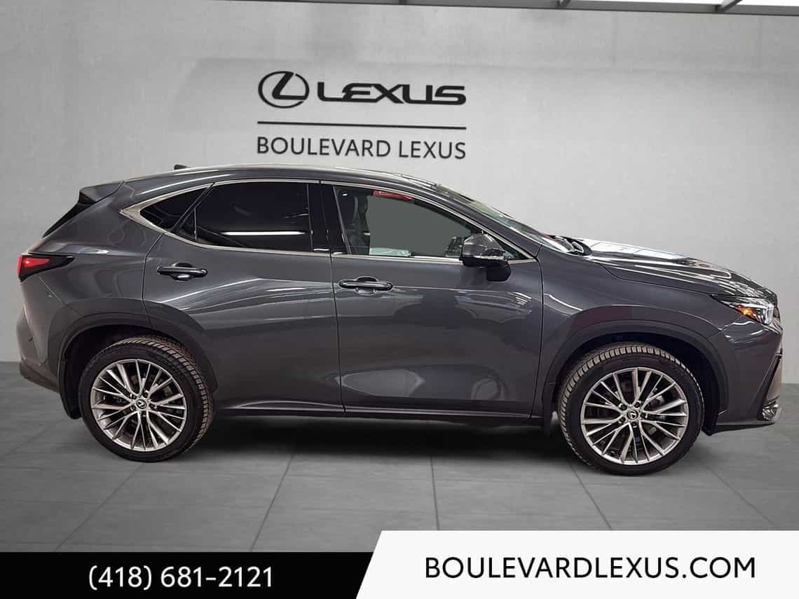 Image 3 Lexus NX 350h Luxe 2024