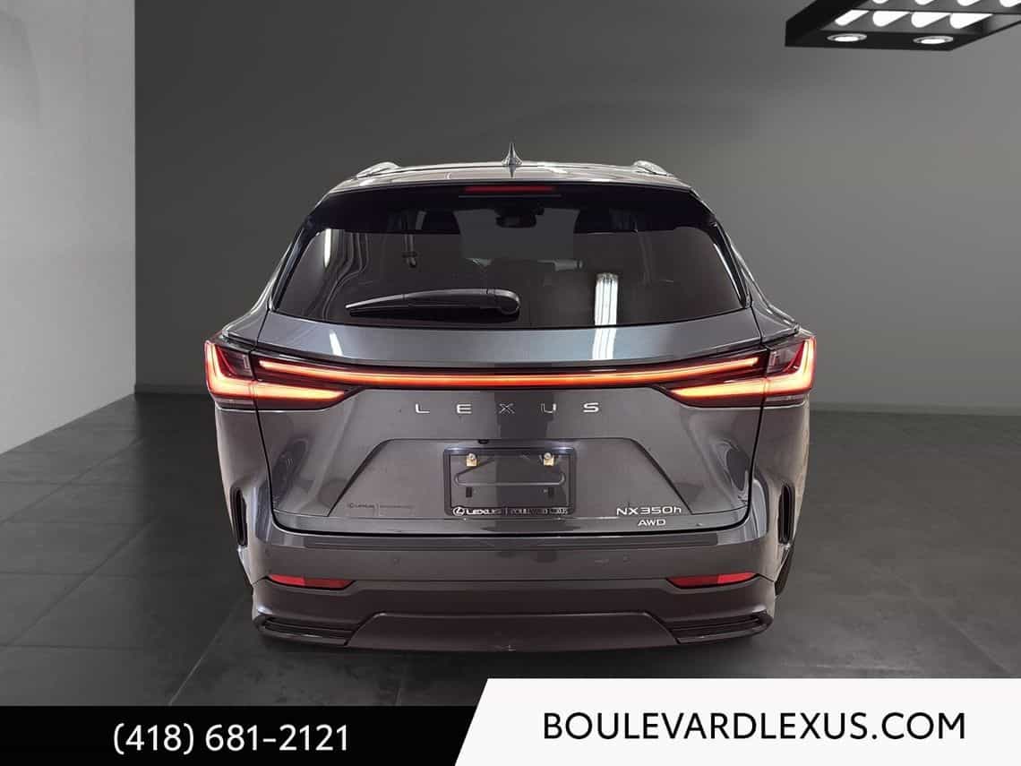 Image 5 Lexus NX 350h Luxe 2024