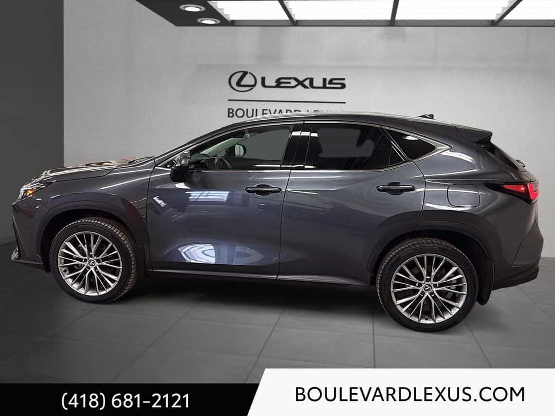 Image 7 Lexus NX 350h Luxe 2024
