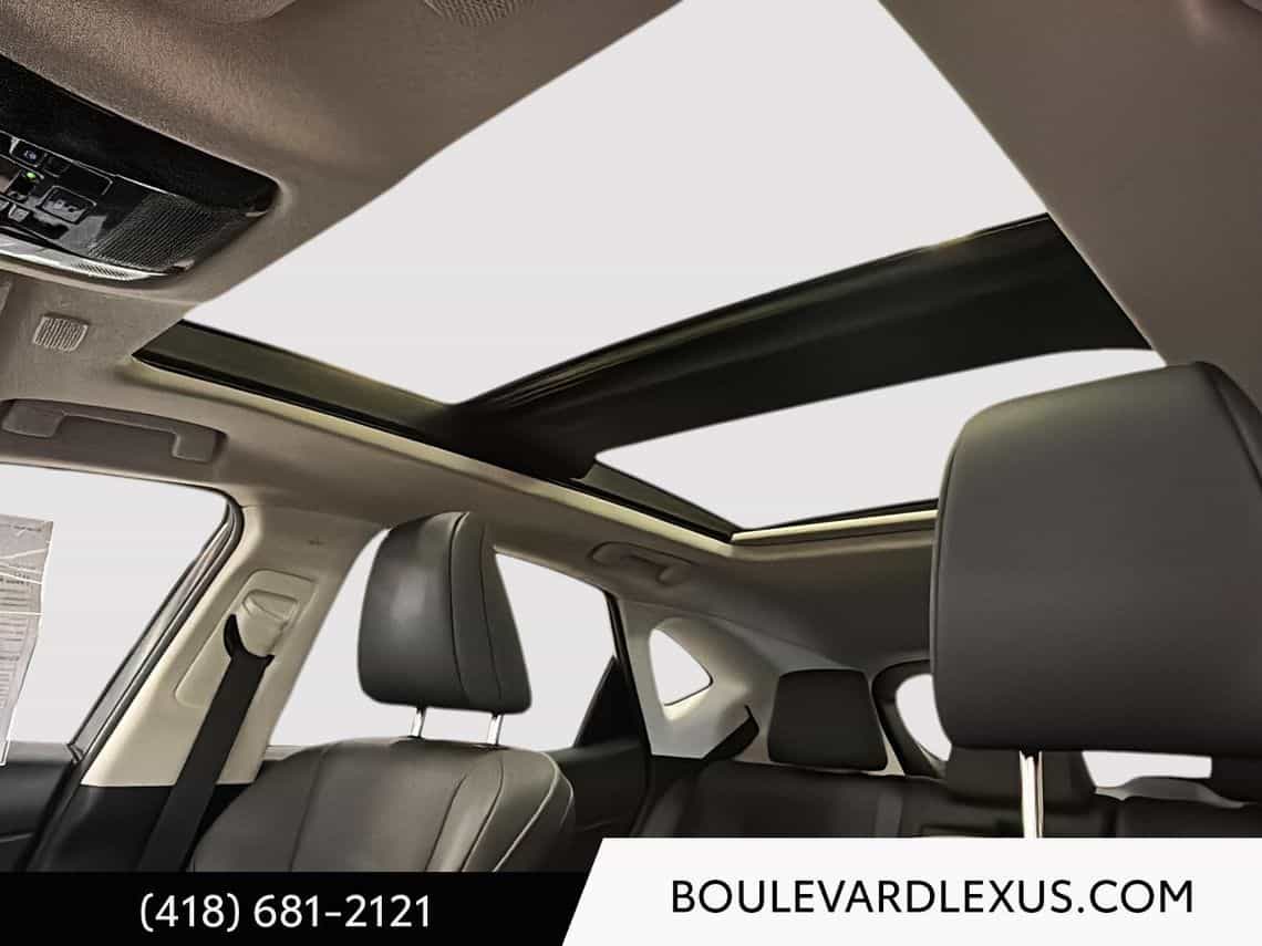 Image 13 Lexus NX 350h Luxe 2024