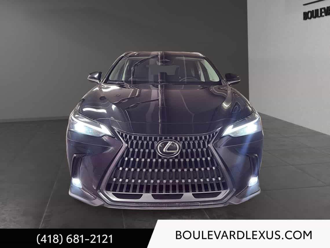 Image 2 Lexus NX 250 Signature 2023
