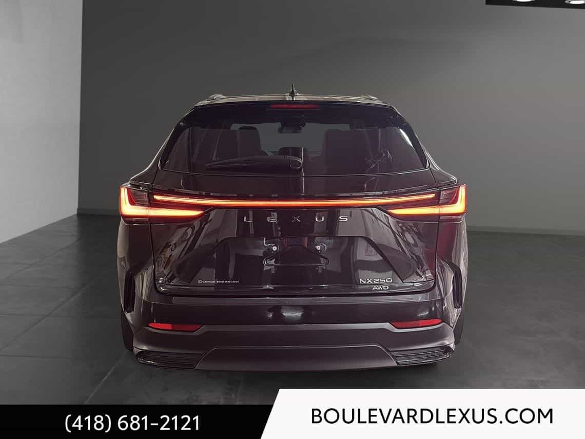 Image 10 Lexus NX 250 Signature 2023