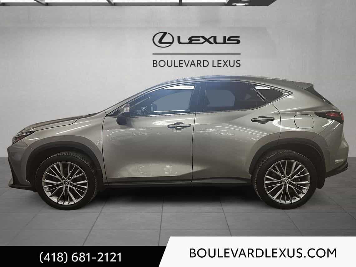 Image 13 Lexus NX 350h Luxe 2024
