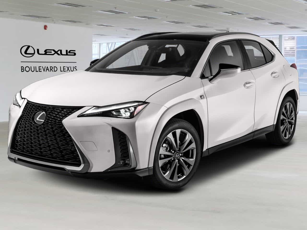 Image 1 Lexus UX UX 250h CVT 2024