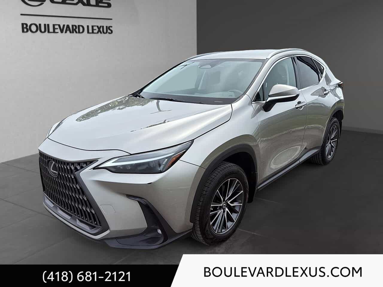 2023 Lexus NX Nx 250 Ti - Image 1