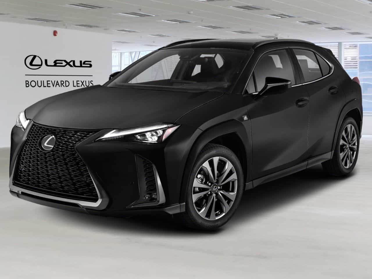 2024 Lexus UX UX 250h CVT - Image 1