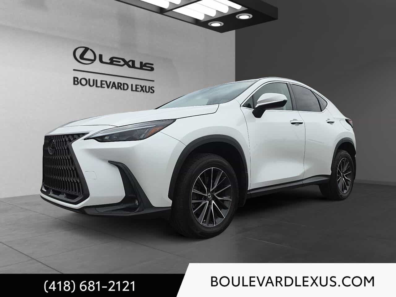 2022 Lexus NX Nx 250 Ti - Image 1