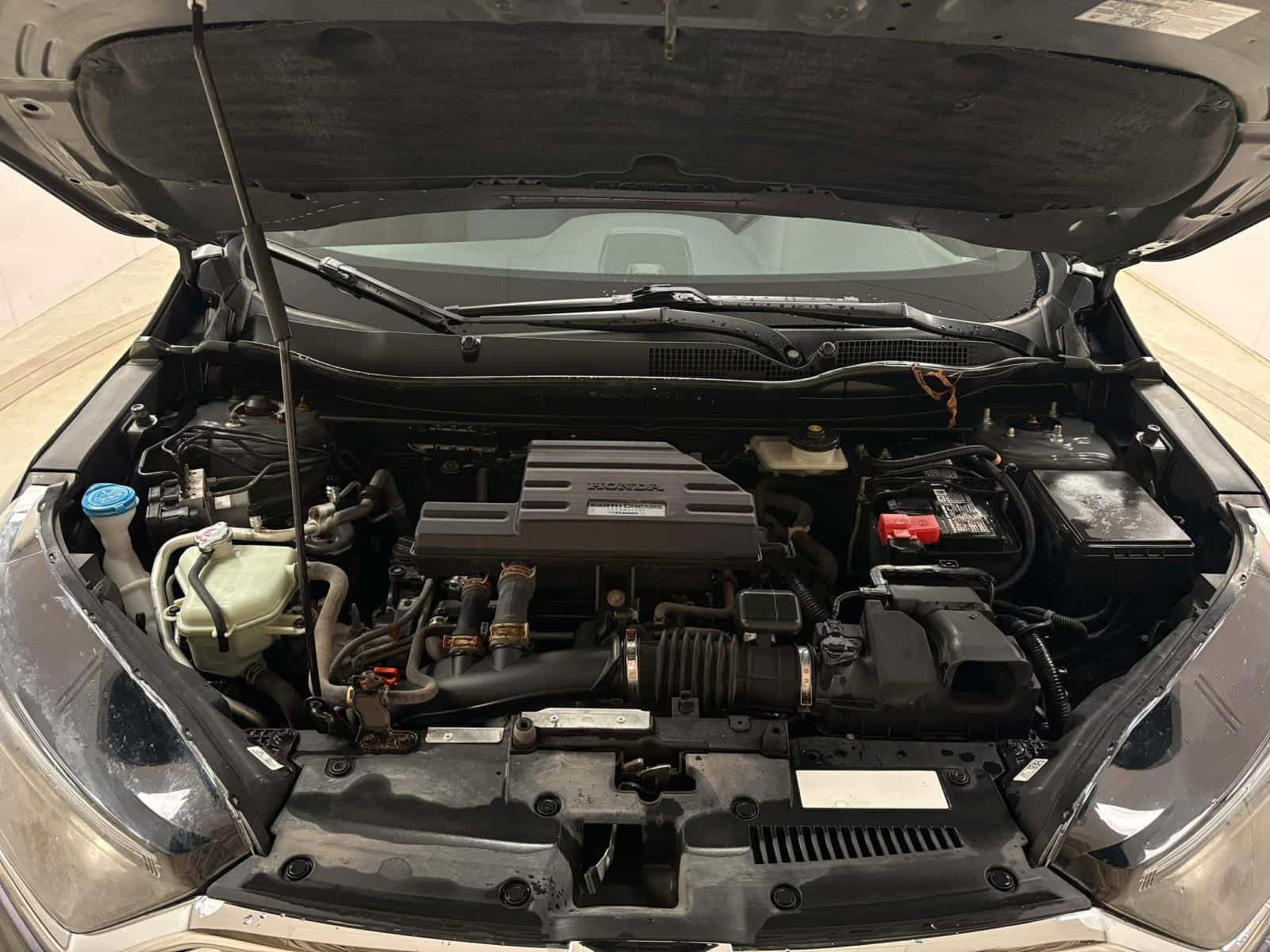 Image 8 Honda CR-V LX 2017