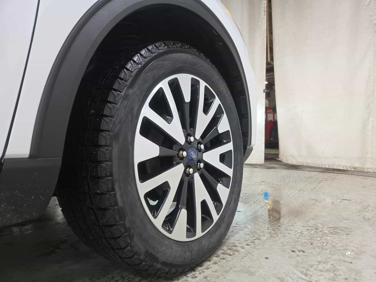 Image 9 Ford Escape SEL 2020