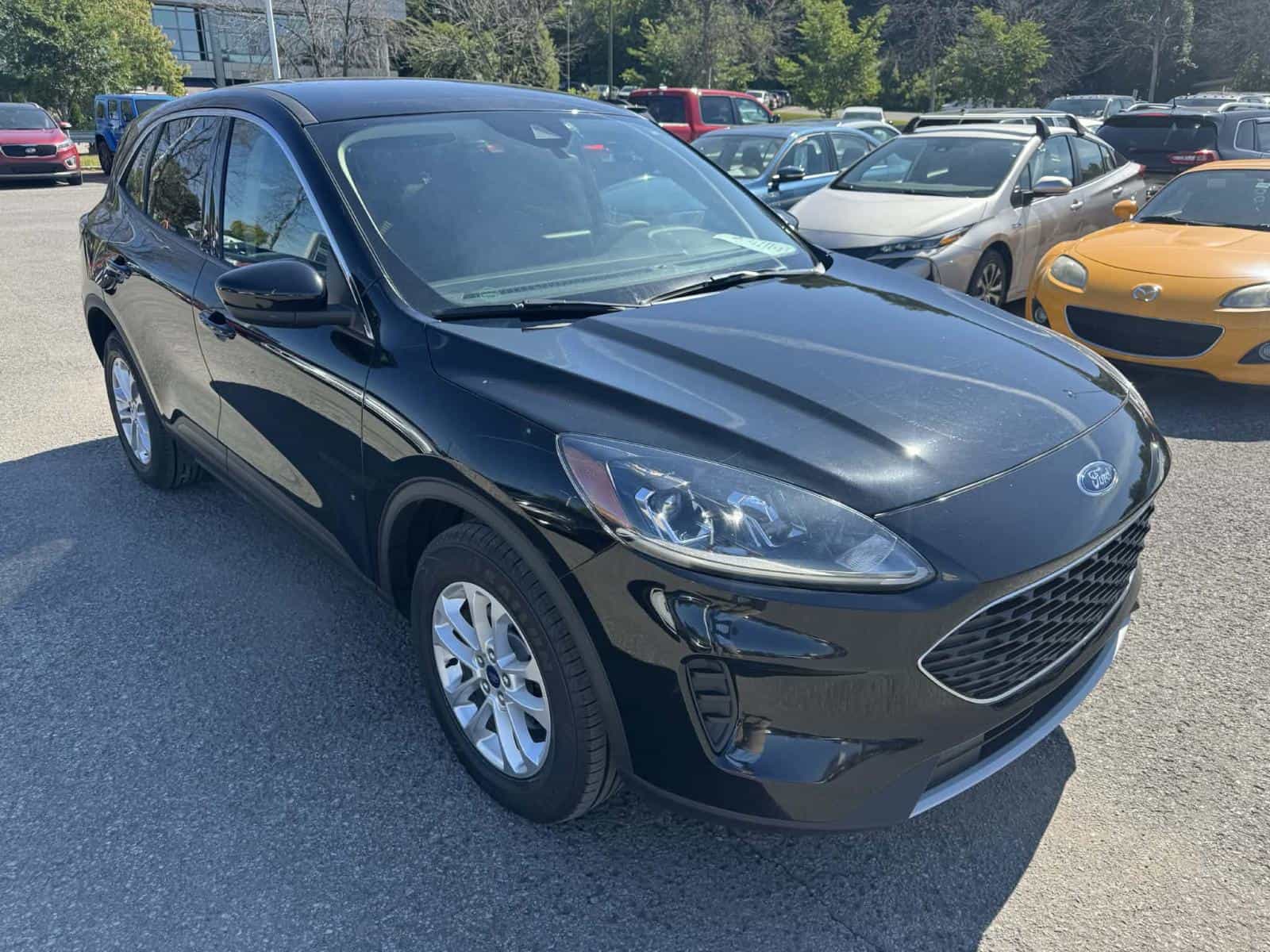 Image 5 Ford Escape SE 2020