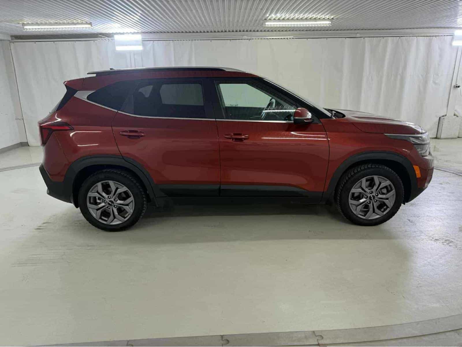 2025 Kia Seltos EX - Image 5